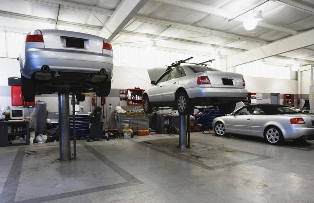 农村小伙养羊新模式年挣2亿元,河南大哥养羊赚了8000万