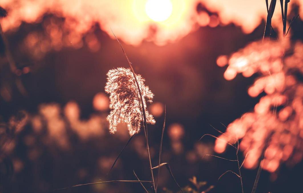 斑驳秋光影，晚来更深情