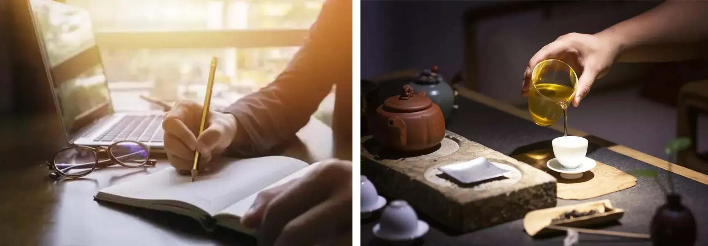 风云四季无余乐，一片痴情寄绿园，哪些往事让养花大叔最常追忆？