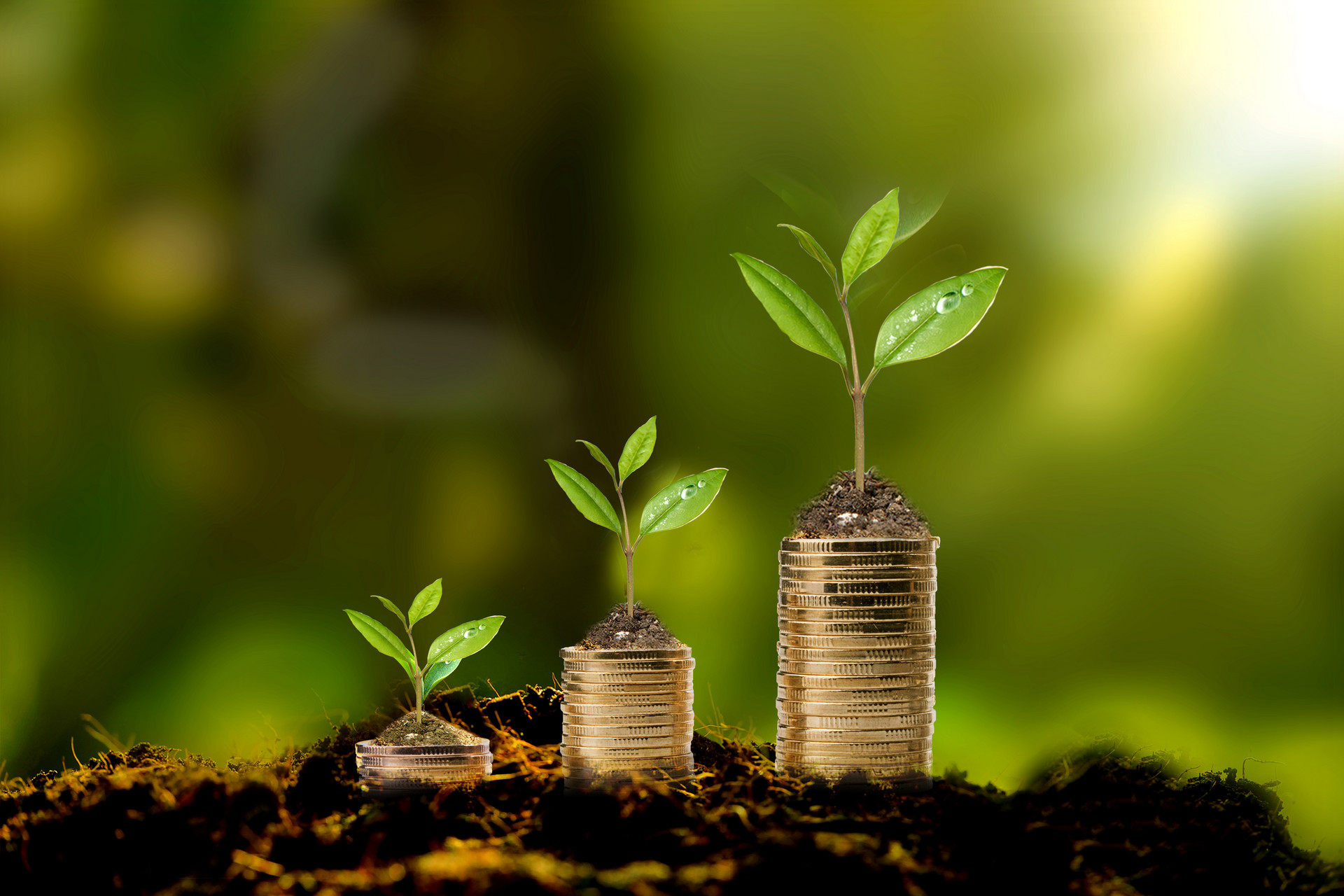 值得做的几个副业适合上班族,工资不够用下班后可以做哪些副业