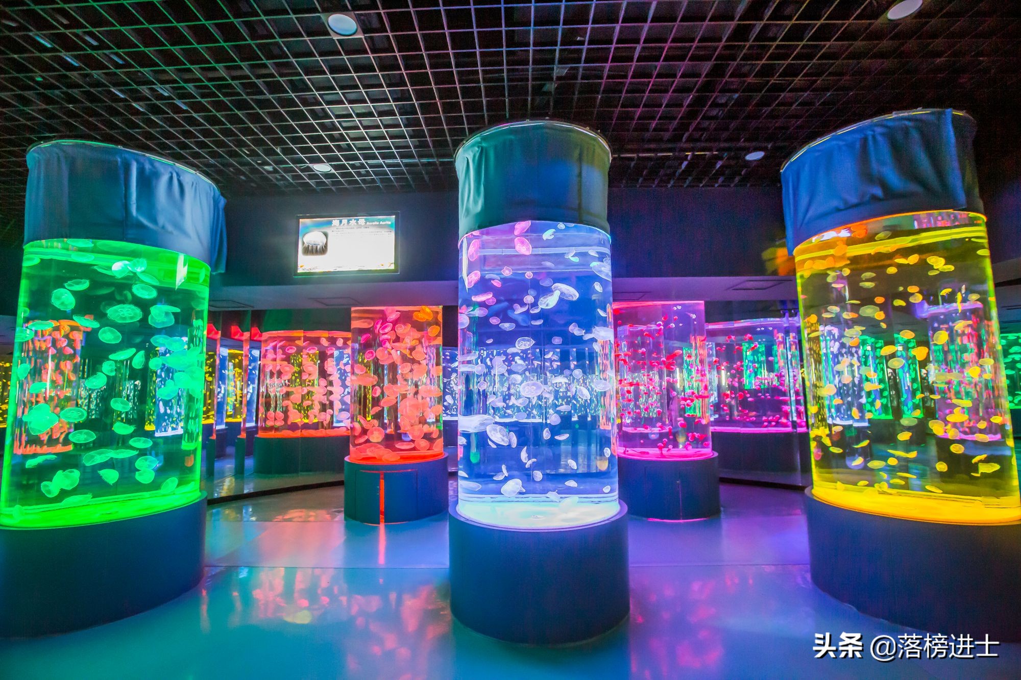 石家庄极地海洋世界从哪个门进,石家庄极地海洋世界内部视频