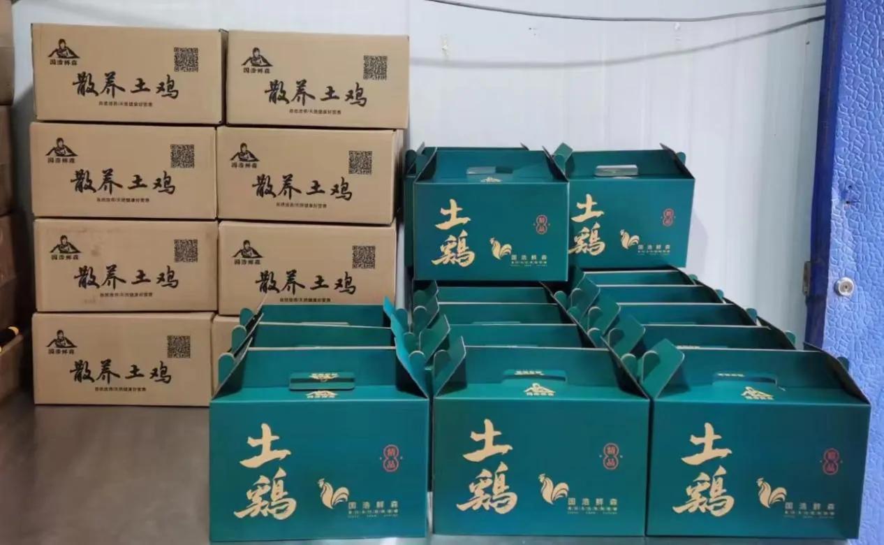 宝鸡凤翔蛋鸡养殖,宝鸡养鸡创业