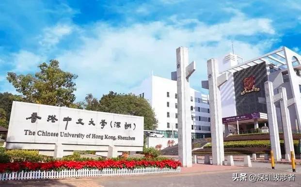 为什么年轻人都去深圳发展,为什么年轻人留在深圳