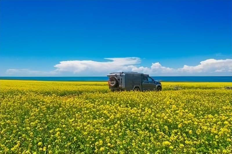 情侣住宾馆遇到警察查房该怎么办,情侣住酒店遇到查房会被拘留吗