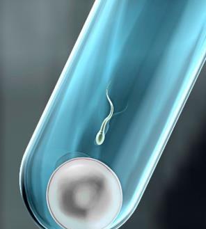 英首例女同性恋夫妇实现“共享母体”，在各自的子宫共孕育一婴儿