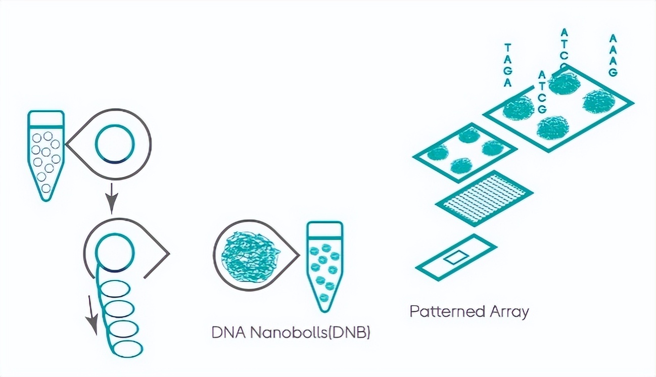 专利侵权纠纷涉及新产品制造方法,华大智造官司
