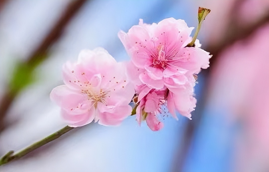 暧昧后说做朋友的都是烂人,和暧昧过的人不可以再联系