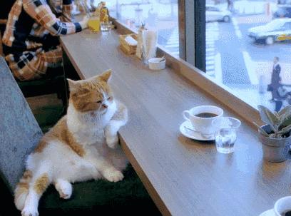 恒大珺睿府全款六千多一平,渭南恒大珺睿府一期二手房