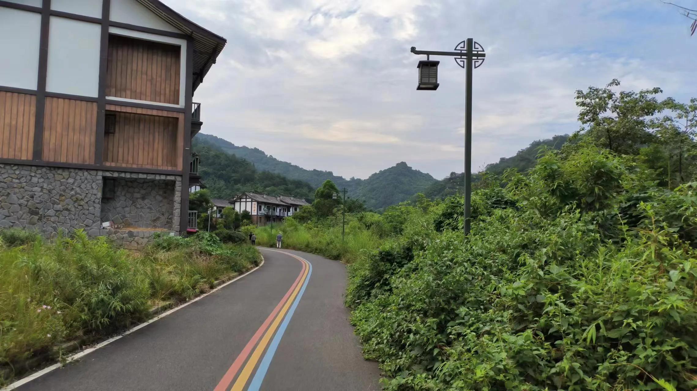 端午游竹园风景,端午节去轿子山赏杜鹃花海