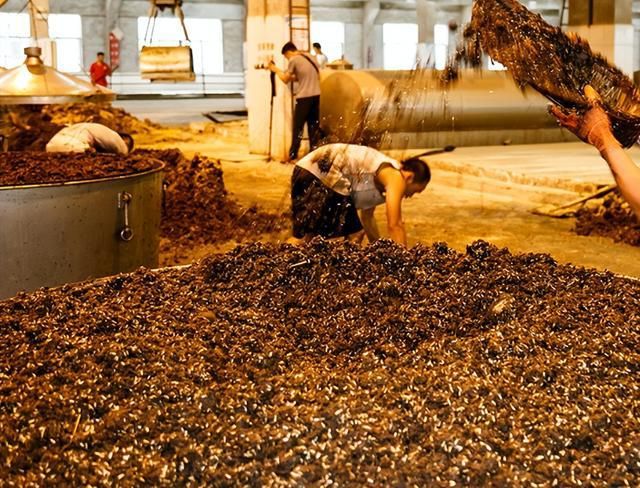 洋河天之蓝梦之蓝哪个贵,洋河梦之蓝与天之蓝的区别