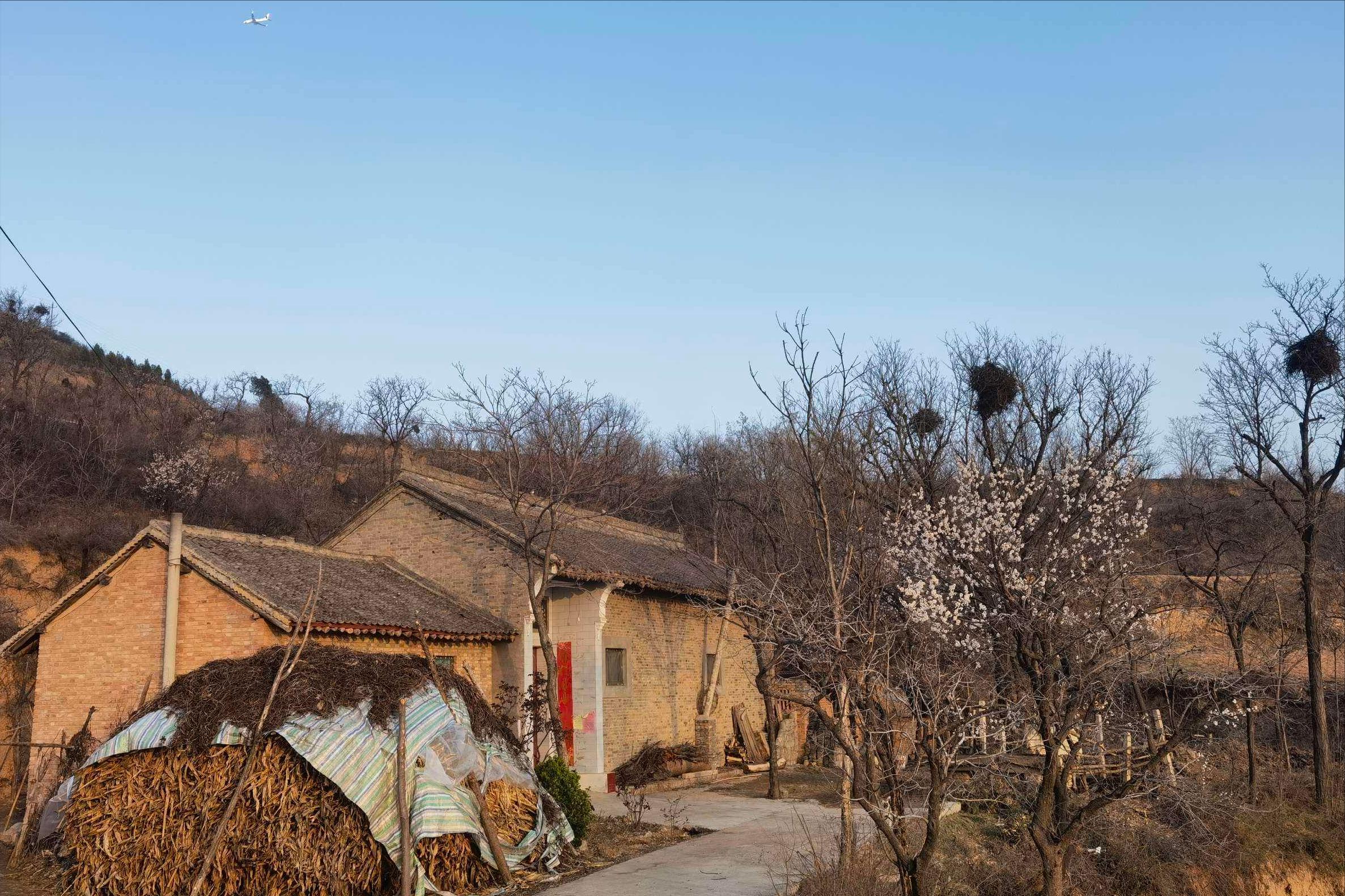 河南白头村真实历史,河南村庄离奇出现白胡子老汉