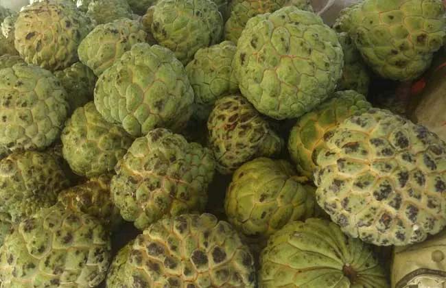 100多种罕见水果欣赏,100种罕见水果名字