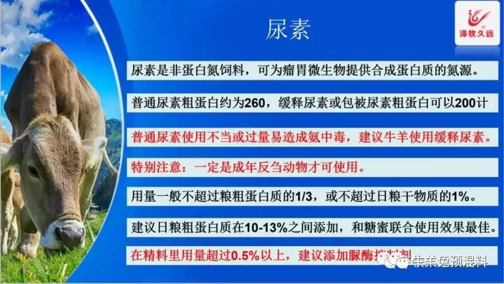 豆粕暴涨严重影响养猪业,豆粕疯涨能用什么替代