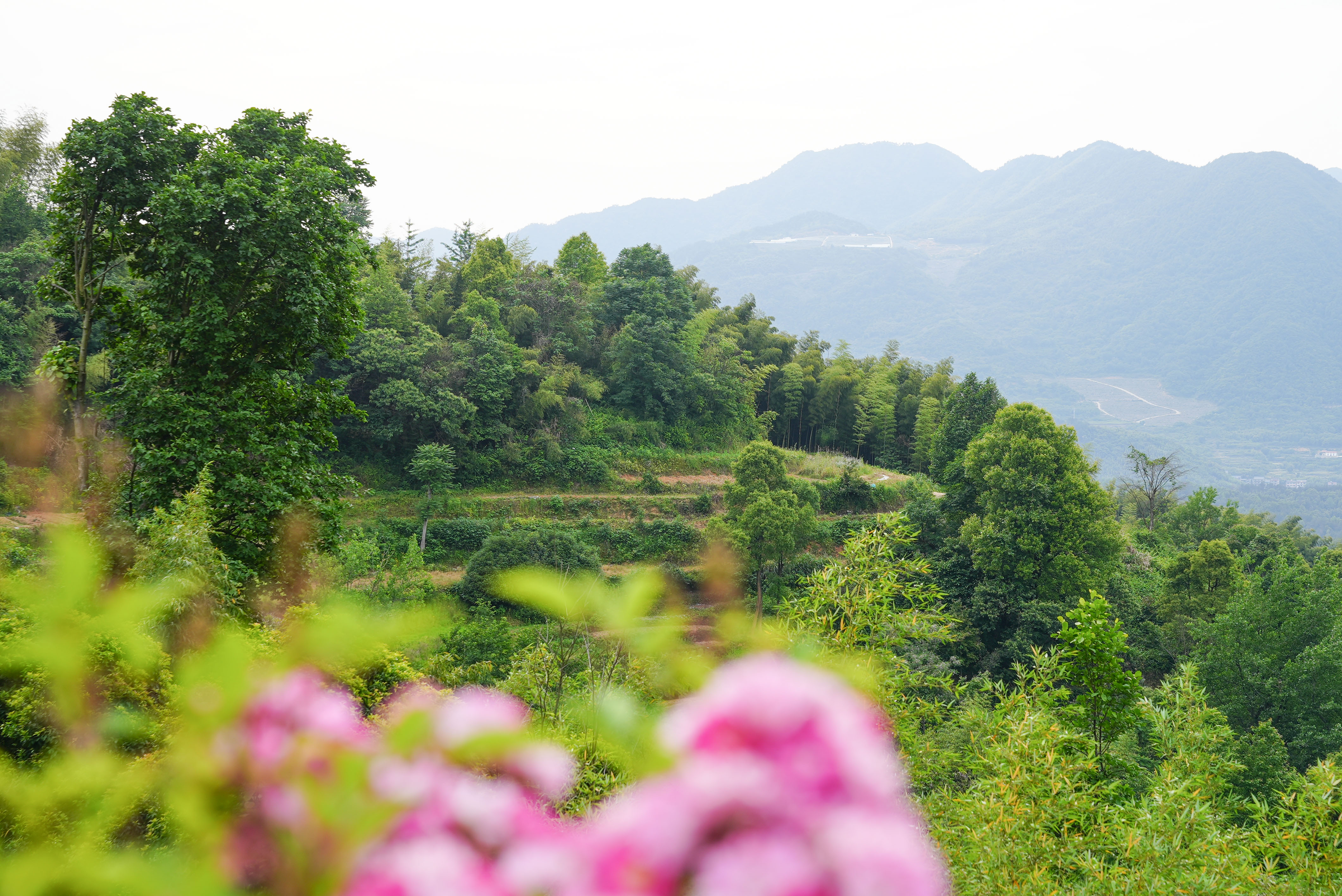 桐庐乐水阁精品民宿住宿团购,桐庐大奇山民宿排名前十名