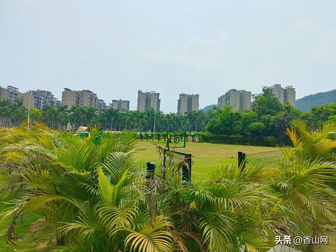 珠海唐家遛狗好去处,周末遛狗好去处乌鲁木齐