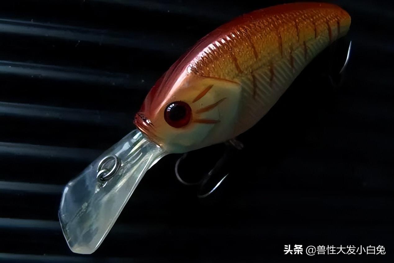 路亚饵的介绍大全,软饵路亚翘嘴