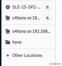 SAPS4导入模板需要什么格式,saps4使用