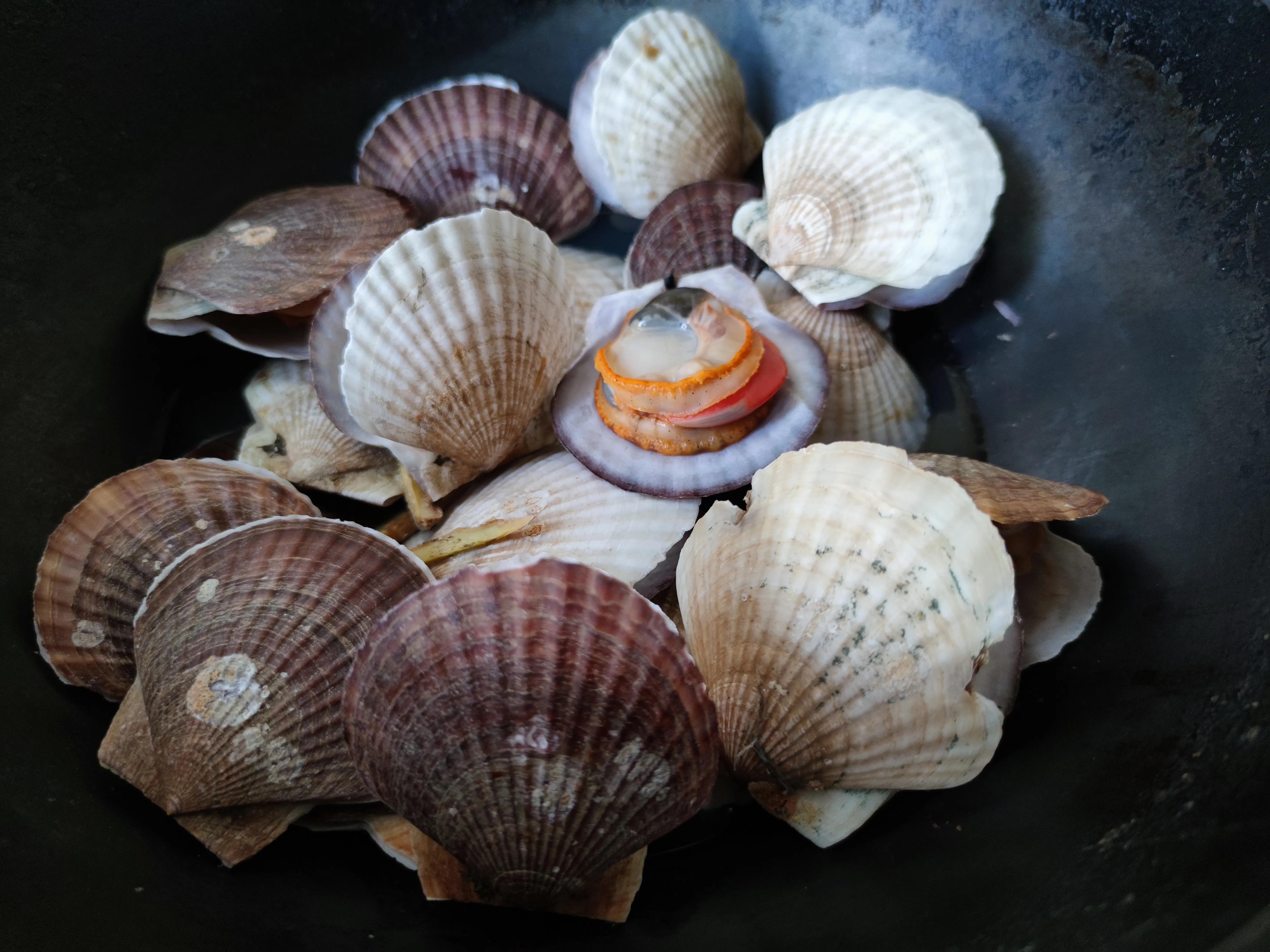 五一大连便宜的海鲜,大连春季特色小海鲜