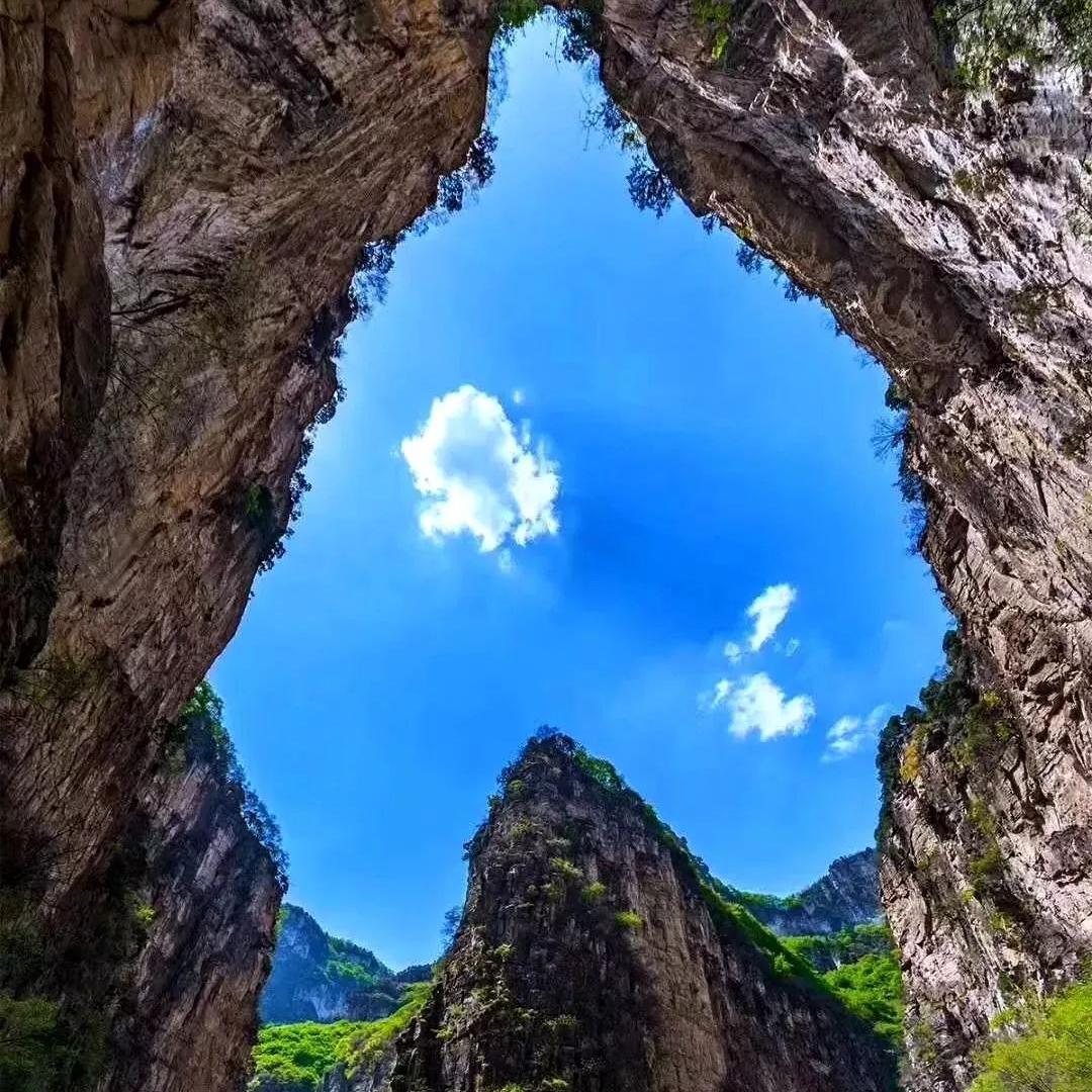 王莽岭避暑的好地方,王莽岭避暑怎么样