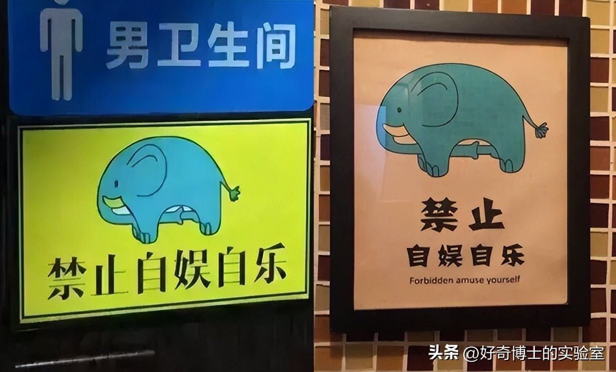 动物怎样坐飞机,动物如何航空运输