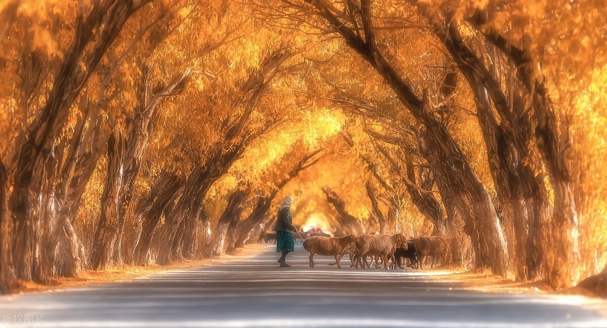 治疗前列腺炎尿频尿不尽吃什么药,中医前列腺炎小便不利