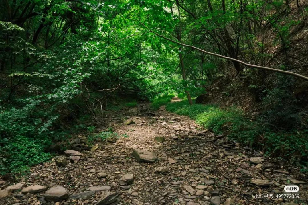 昆明周边世外桃源,最近昆明周边游玩景点推荐一日游