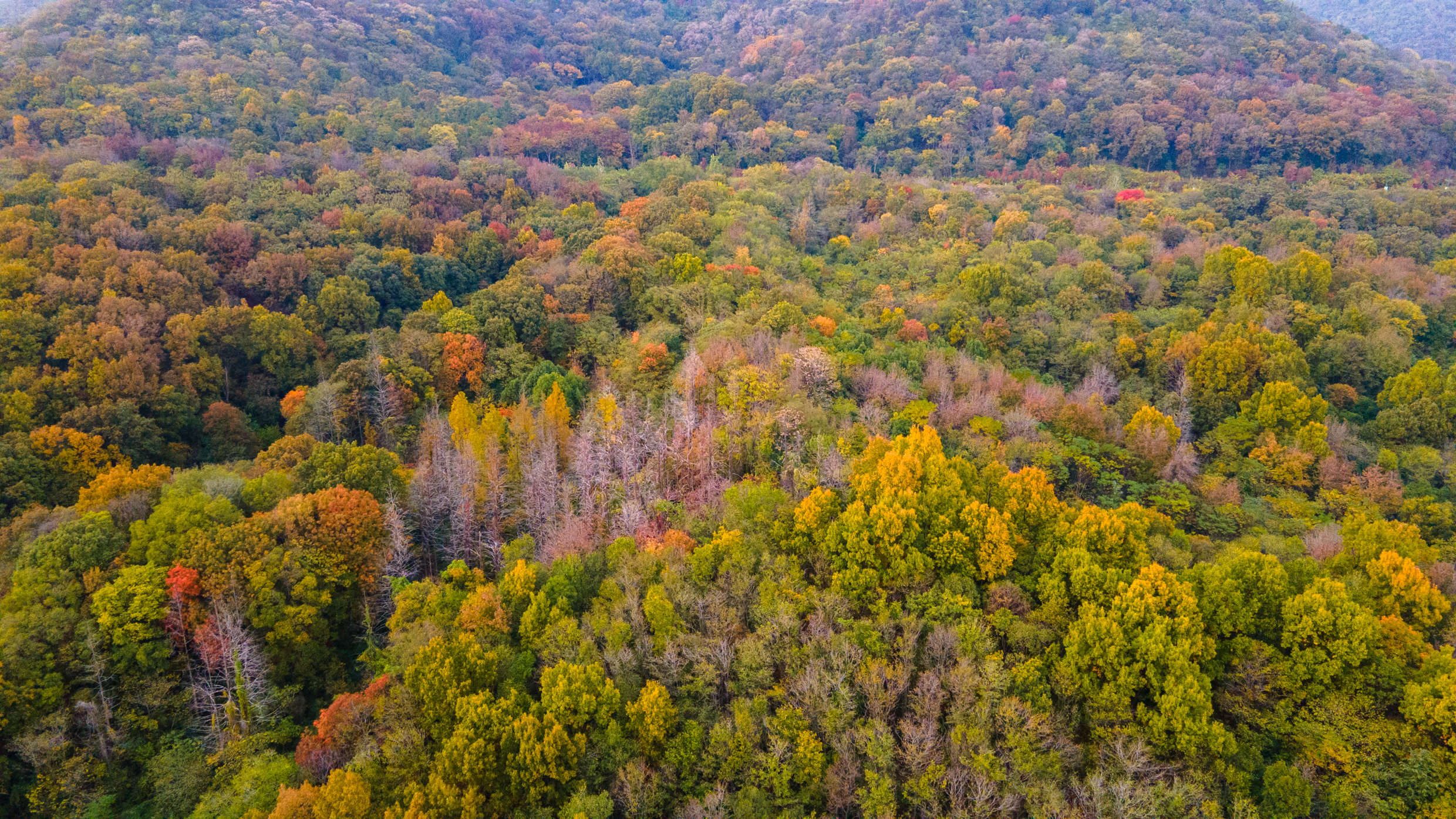 南京浦口老山不老村游,浦口老山不老村一日游