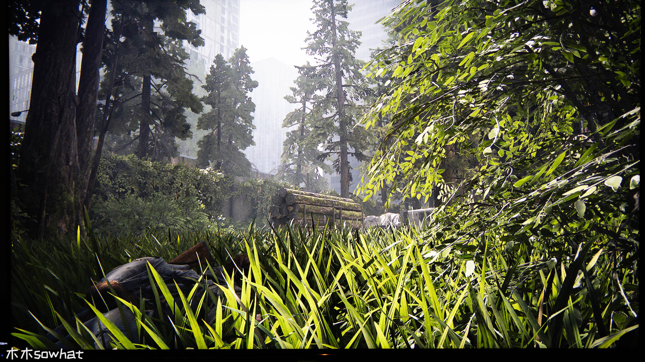 索尼xr-65x95ek电视测评,索尼65x9500goled电视