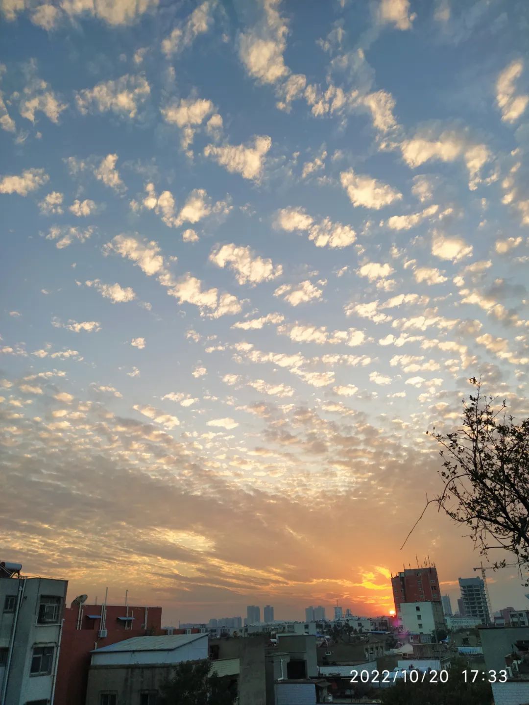 女孩小城躺平8年：每月只花500，曾被重男轻女妈妈因200元辱骂