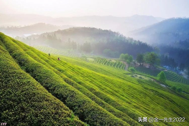 高管约束方法有哪些,公司董事长如何制约股东