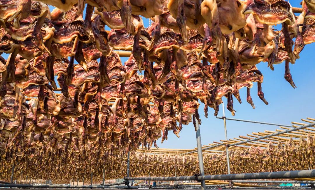 瑞商风采丨何雪平：小禽蛋大世界