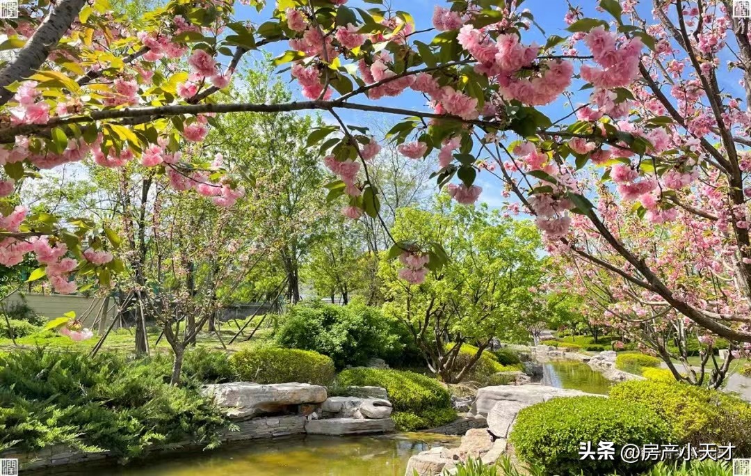 北京北苑小区排名,北京北苑小区楼盘推荐