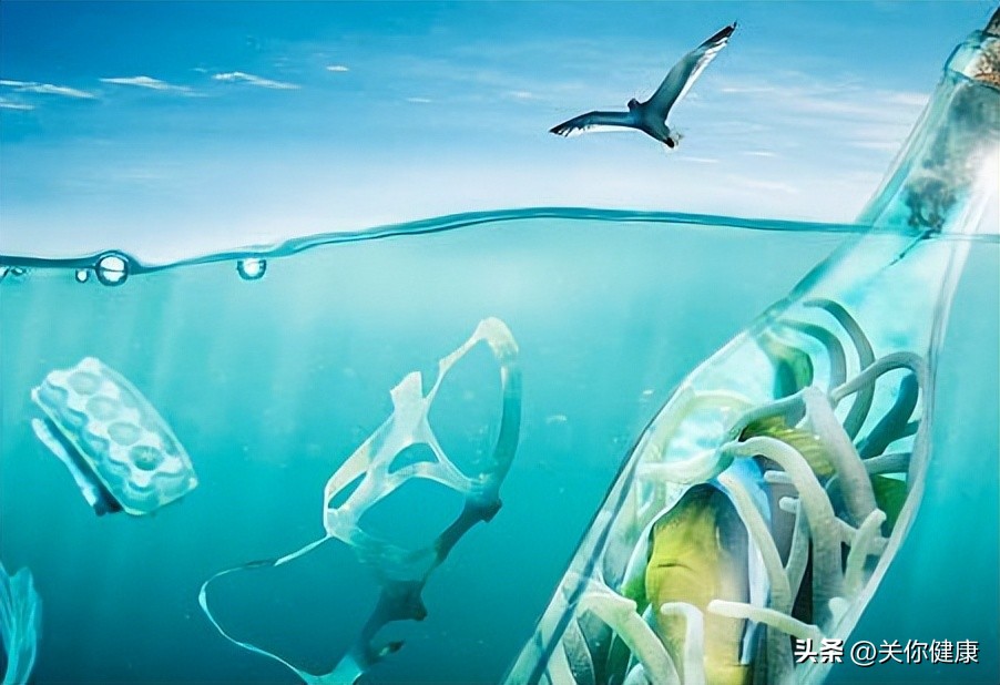 塑化剂会引起生化妊娠吗,接触化学试剂对子宫肌瘤有影响吗