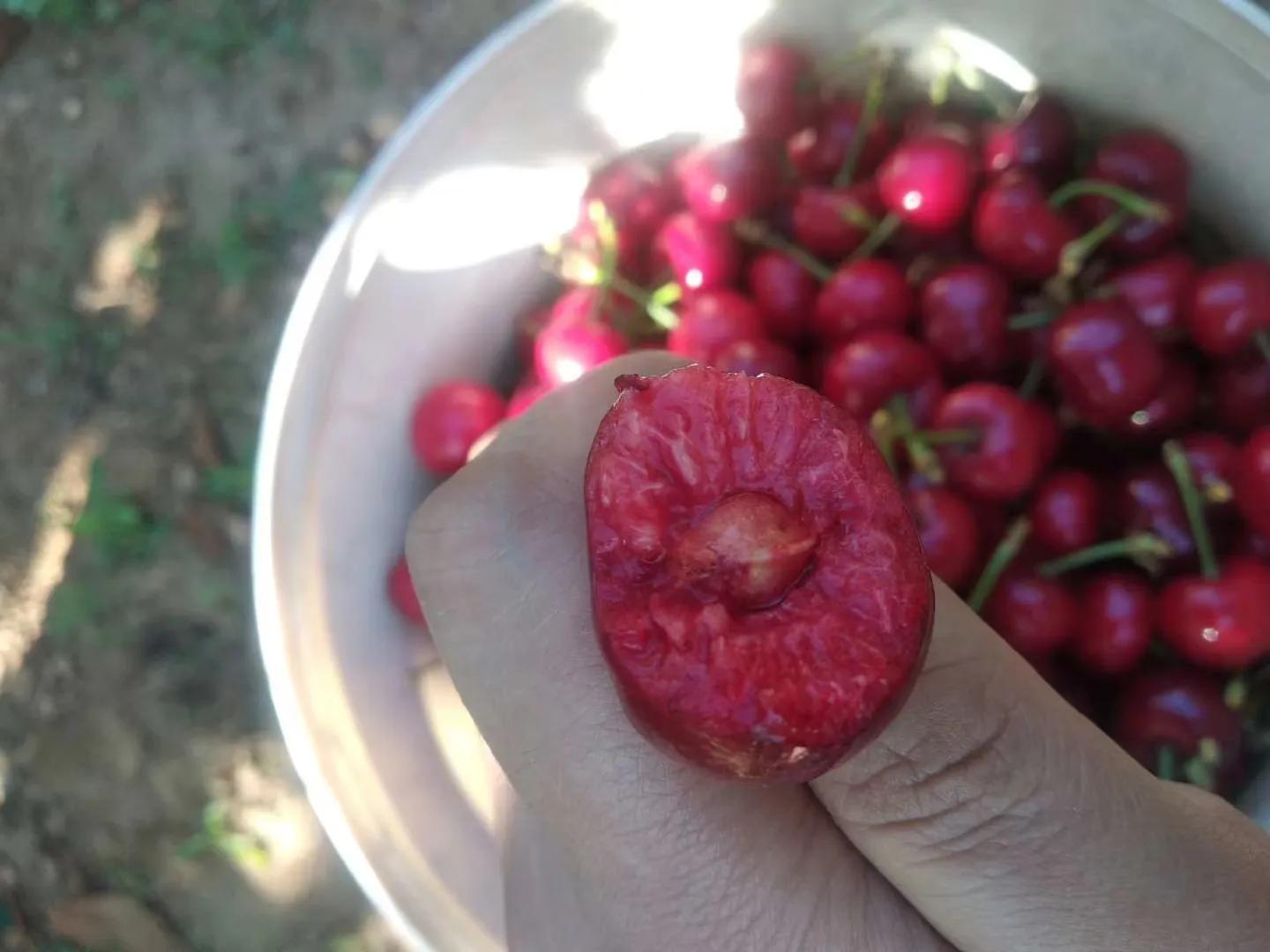 大樱桃打的农药多吗,大樱桃专用的农药