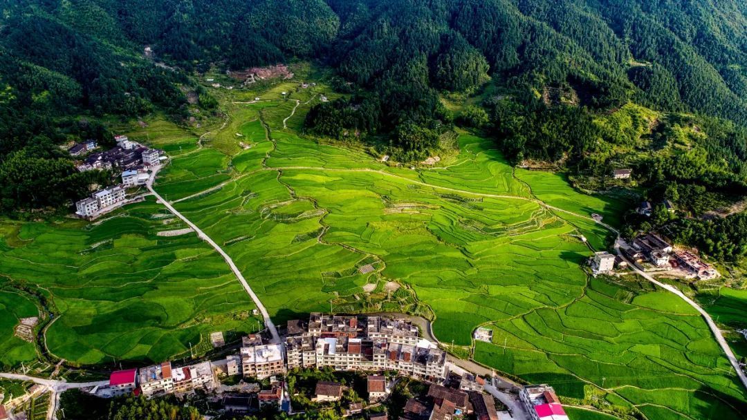 当古诗词遇到秋天有多美,当古诗词遇上莆田方言