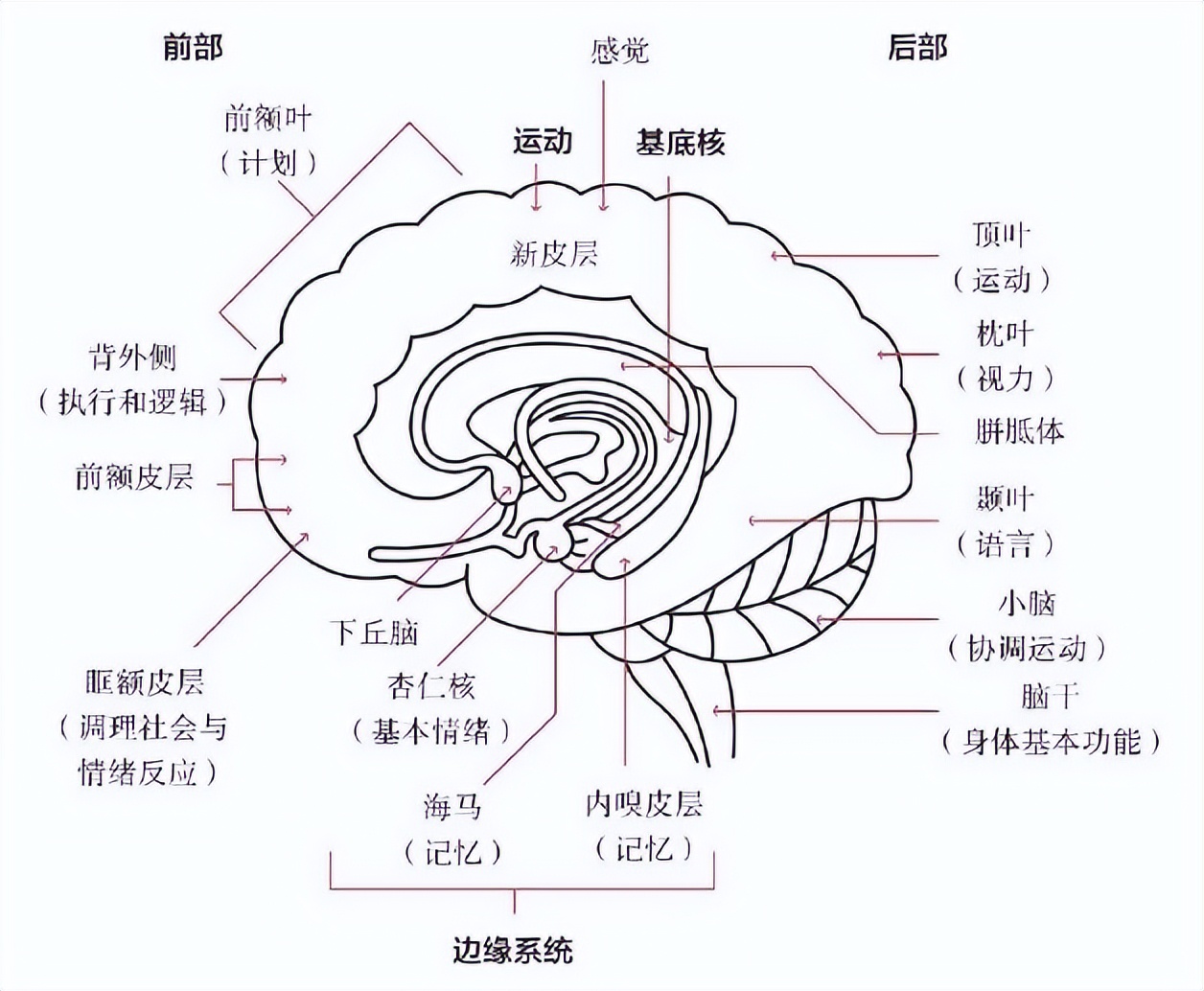 原则一书,沙雕动画
