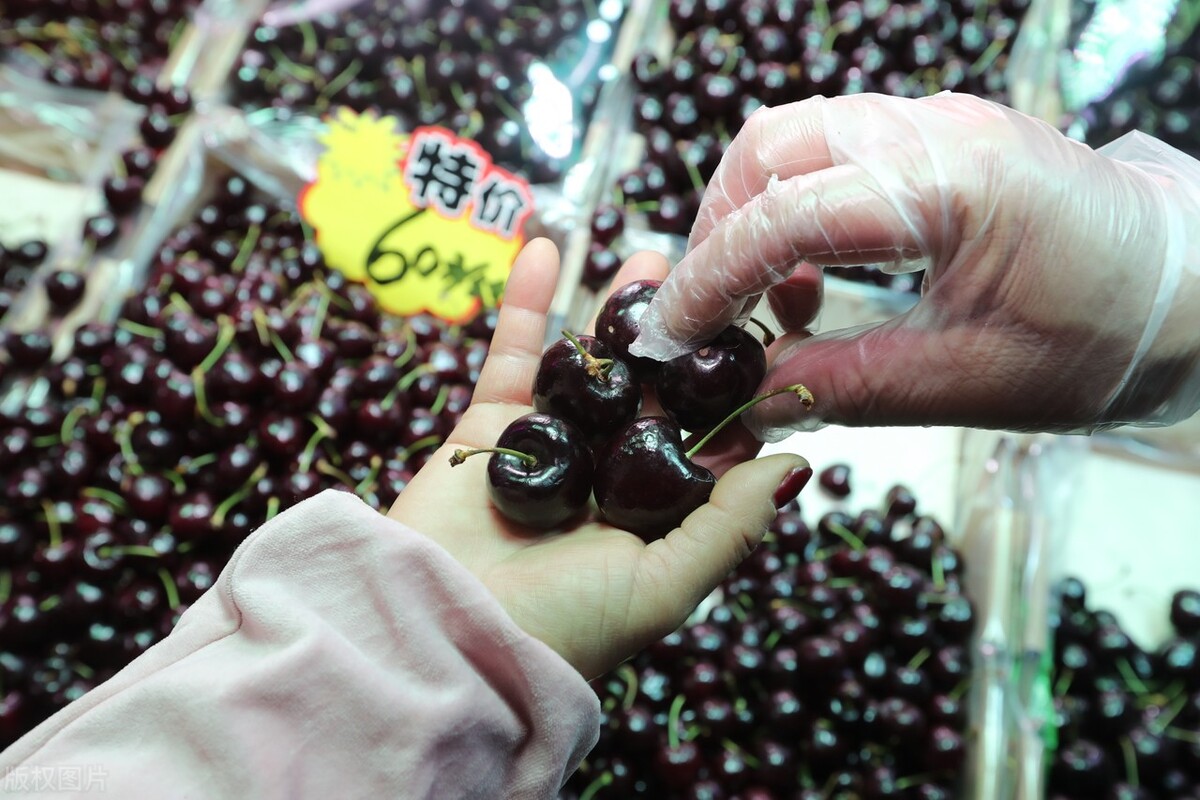 智利车厘子所有水果出口,现在水果进口哪些国家