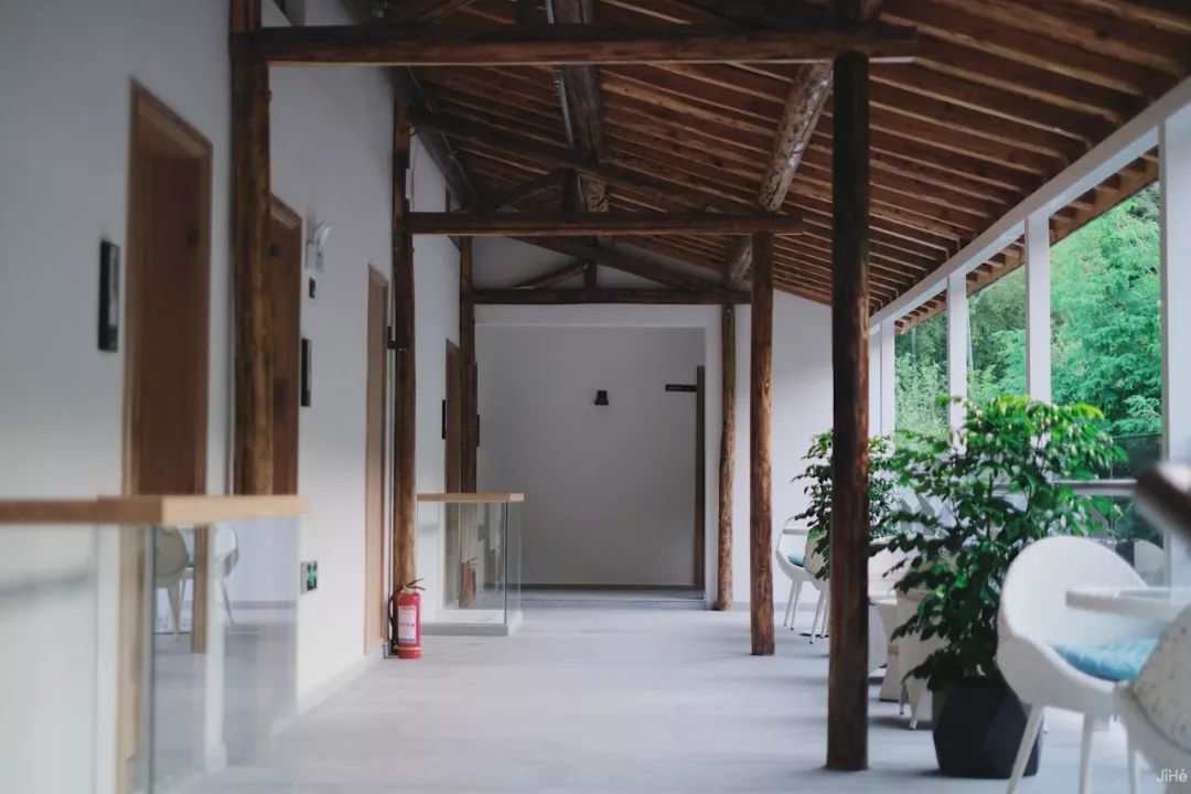 莫干山竹林深处的最美民宿,莫干山森林小屋民宿