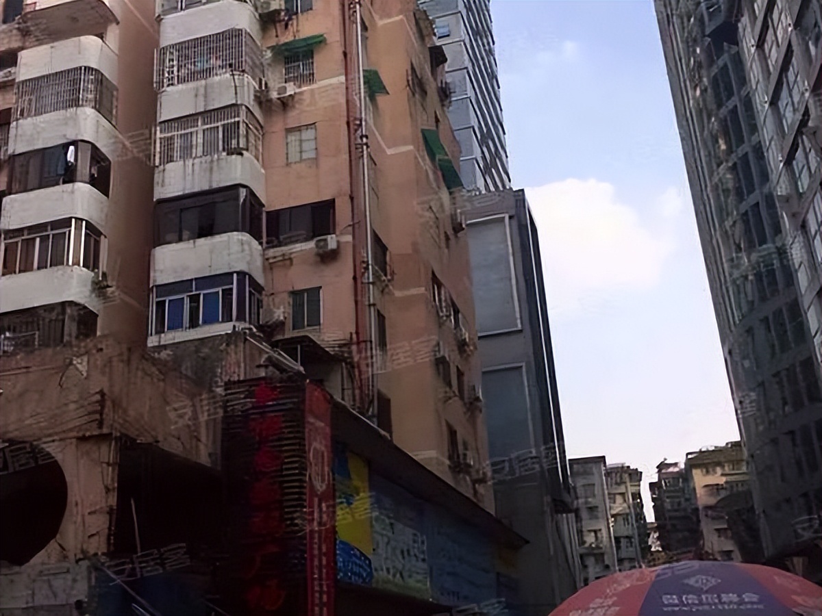 粤剧、醒狮、武术、科技……TA有39个宝藏社团？