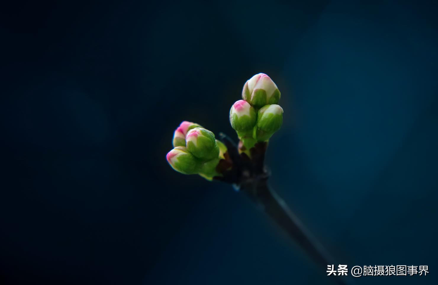 拍照如何确保对焦准确,拍照时对焦很难对上