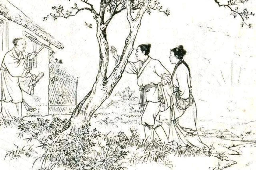 新聊斋志异之绿衣女子,新聊斋女子