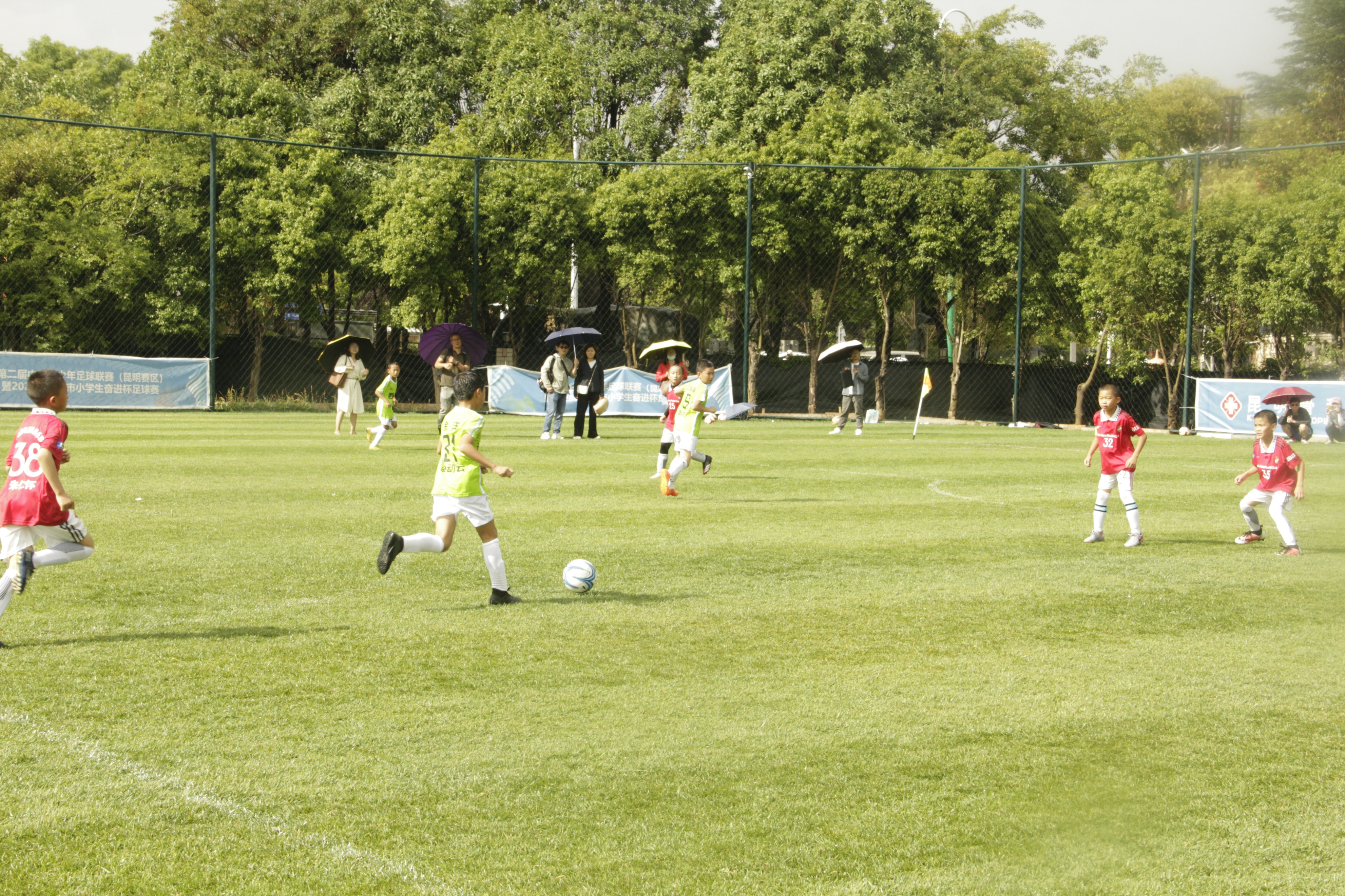 昆明2023奋进杯足球赛,昆明市小学生奋进杯