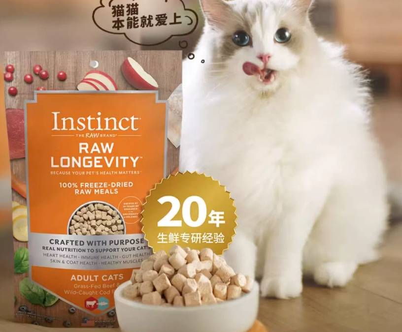 适口性比较好的主食冻干推荐,猫冻干可以当主食喂吗