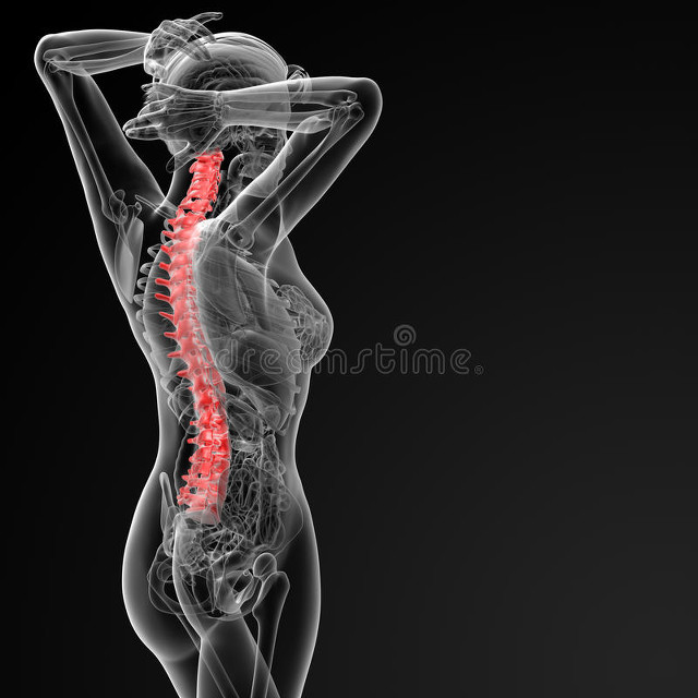 腰椎间盘突出2型,腰椎间盘突出症状