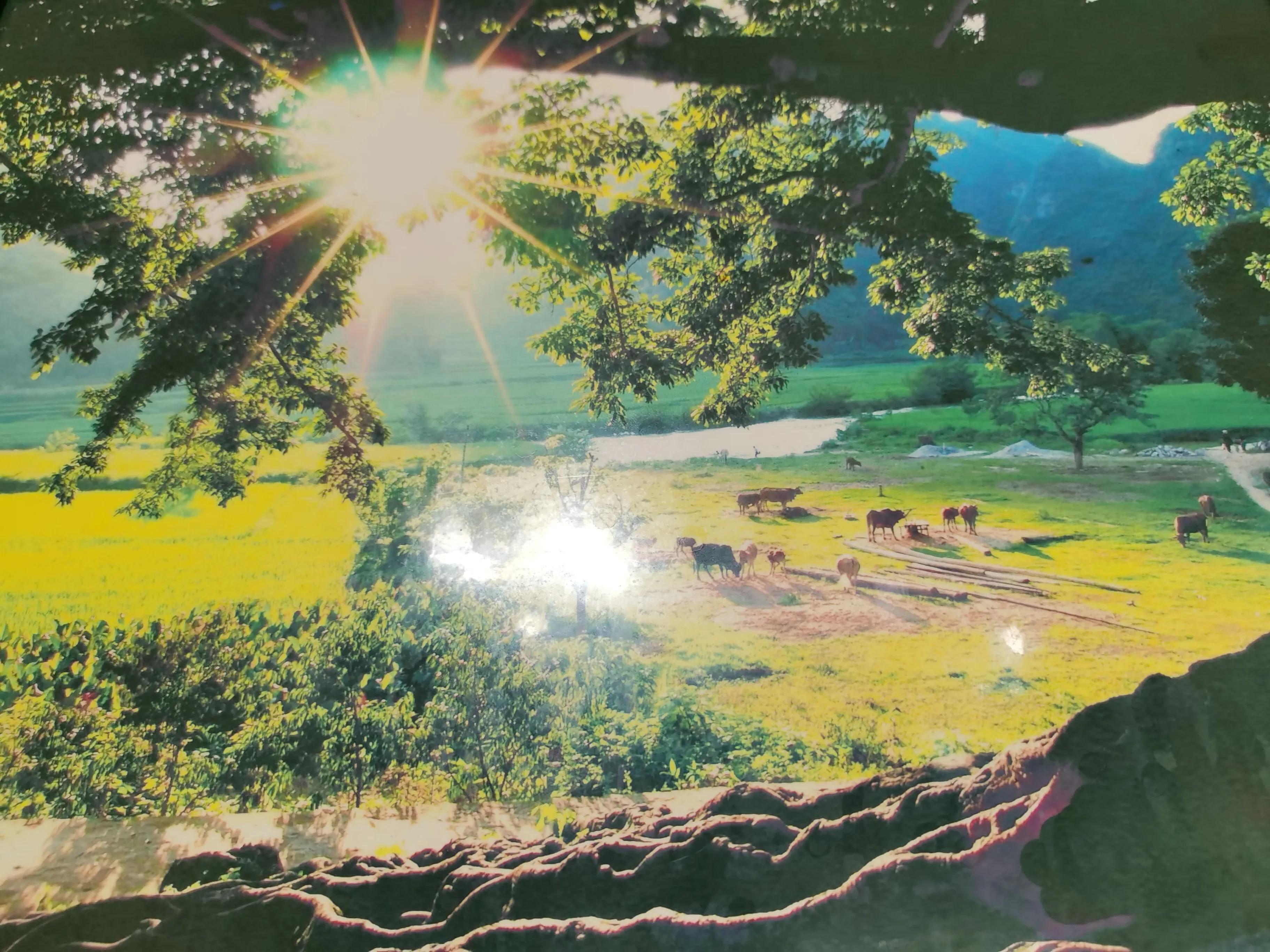 云南十天旅游,云南坝美旅游攻略