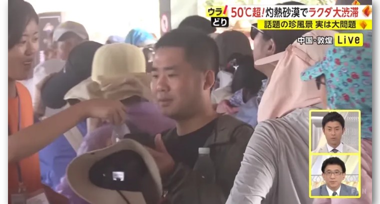 日本记者敦煌堵骆驼,日本记者直播连线冰墩墩