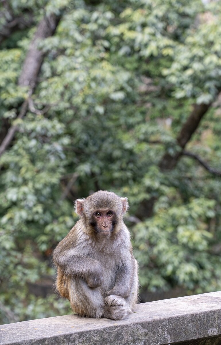 大理洱海打卡景点,云南大理网红打卡地