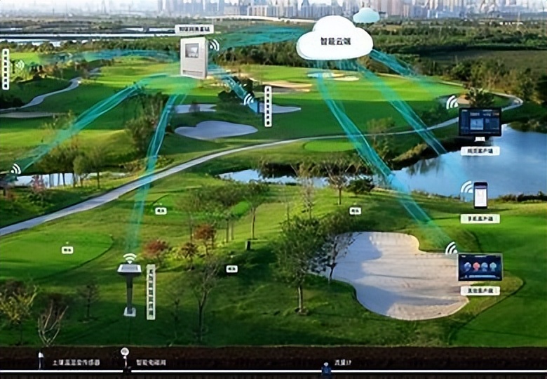 利用林业资源带动经济发展的举措,利用与发展