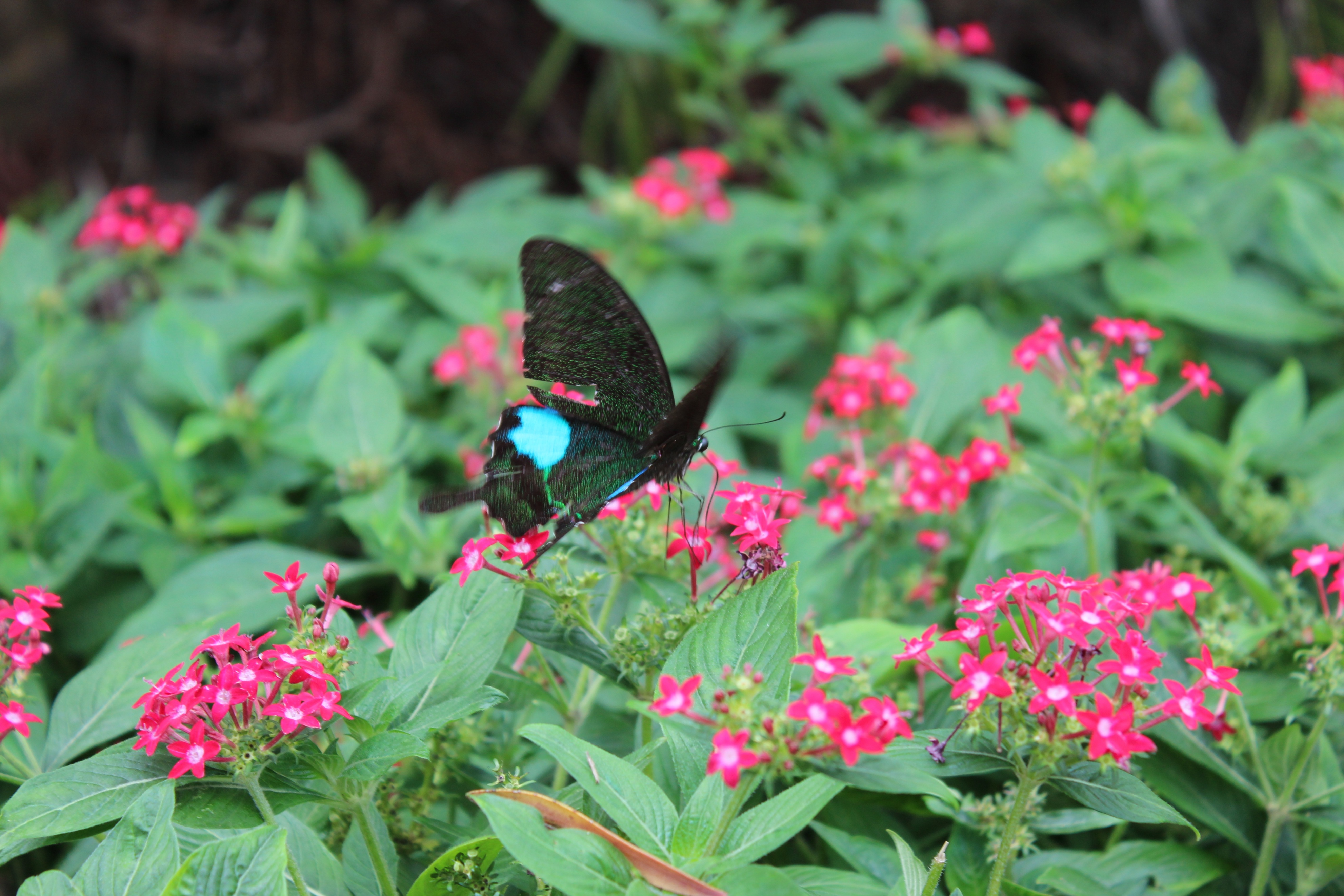 2017最全台湾购物攻略,台湾宝岛购物攻略