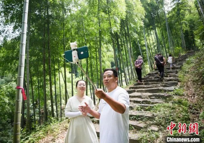 一根竹子打造一万亿产业 (一根小竹子做出大产业)